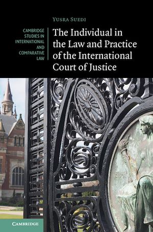 Téléchargez le livre :  The Individual in the Law and Practice of the International Court of Justice