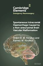 Télécharger le livre :  Spontaneous Intracranial Haemorrhage Caused by a Non-aneurysmal Brain Vascular Malformation