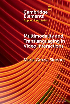 Download the eBook: Multimodality and Translanguaging in Video Interactions