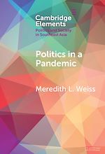 Download this eBook Politics in a Pandemic