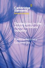 Télécharger le livre :  Strategizing in the Polish Furniture Industry