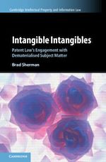 Download this eBook Intangible Intangibles