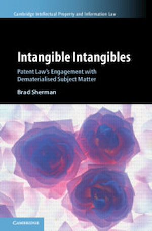 Download the eBook: Intangible Intangibles