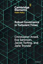 Download this eBook Robust Governance in Turbulent Times