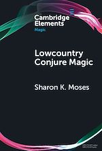 Download this eBook Lowcountry Conjure Magic