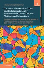 Download this eBook Customary International Law and Its Interpretation by International Courts: Volume 3