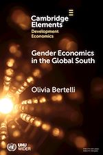 Download this eBook Gender Economics in the Global South