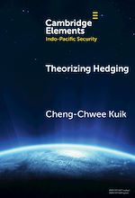 Download this eBook Theorizing Hedging