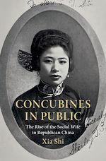 Download this eBook Concubines in Public