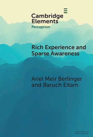 Download the eBook: Rich Experience and Sparse Awareness