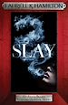 Télécharger le livre :  Slay
