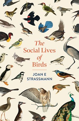 Téléchargez le livre :  The Social Lives of Birds
