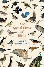 Download this eBook The Social Lives of Birds