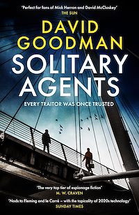Download this ebook Solitary Agents