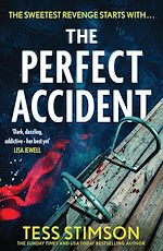 Download this eBook The Perfect Accident
