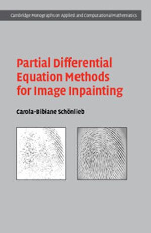 Download the eBook: Partial Differential Equation Methods for Image Inpainting