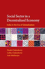 Download this eBook Social Sector in a Decentralized Economy
