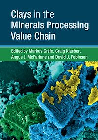 Téléchargez le livre :  Clays in the Minerals Processing Value Chain