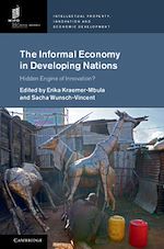 Download this eBook The Informal Economy in Developing Nations