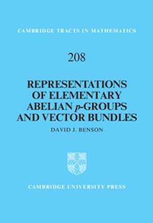 Download the eBook: Representations of Elementary Abelian p-Groups and Vector Bundles
