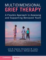 Télécharger le livre :  Multidimensional Grief Therapy
