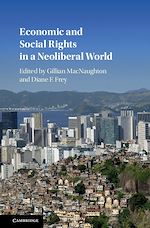 Télécharger le livre :  Economic and Social Rights in a Neoliberal World