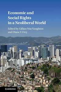 Téléchargez le livre :  Economic and Social Rights in a Neoliberal World