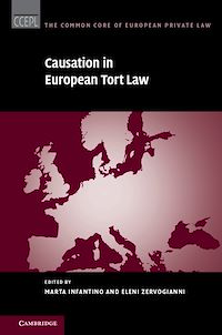 Téléchargez le livre :  Causation in European Tort Law