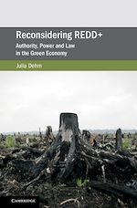 Download this eBook Reconsidering REDD+