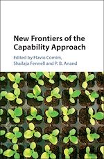 Download this eBook New Frontiers of the Capability Approach