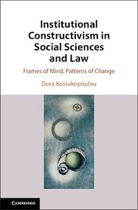 Téléchargez le livre :  Institutional Constructivism in Social Sciences and Law
