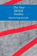 Télécharger le livre :  The New Irish Studies