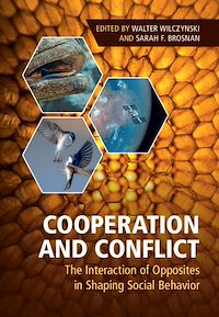 Téléchargez le livre :  Cooperation and Conflict