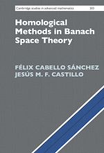 Download this eBook Homological Methods in Banach Space Theory
