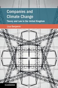 Téléchargez le livre :  Companies and Climate Change