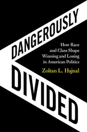 Download the eBook: Dangerously Divided