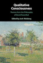 Télécharger le livre :  Qualitative Consciousness