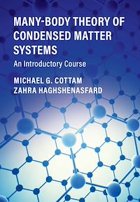 Téléchargez le livre :  Many-Body Theory of Condensed Matter Systems
