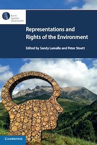 Téléchargez le livre :  Representations and Rights of the Environment