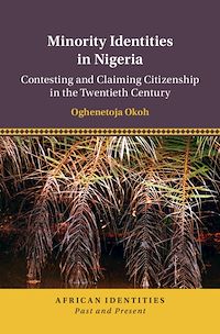 Téléchargez le livre :  Minority Identities in Nigeria