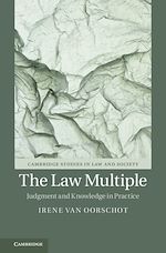Download this eBook The Law Multiple