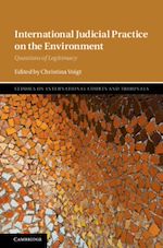 Download this eBook International Judicial Practice on the Environment