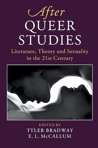 Téléchargez le livre :  After Queer Studies