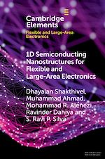 Télécharger le livre :  1D Semiconducting Nanostructures for Flexible and Large-Area Electronics