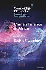 Télécharger le livre :  China's Finance in Africa