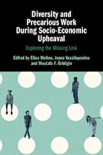 Download this eBook Diversity and Precarious Work During Socio-Economic Upheaval