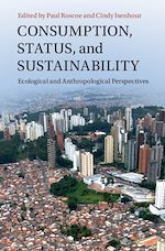 Download this eBook Consumption, Status, and Sustainability