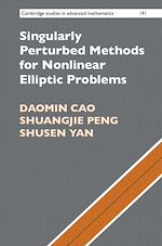 Download this eBook Singularly Perturbed Methods for Nonlinear Elliptic Problems