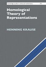 Download this eBook Homological Theory of Representations