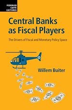 Télécharger le livre :  Central Banks as Fiscal Players